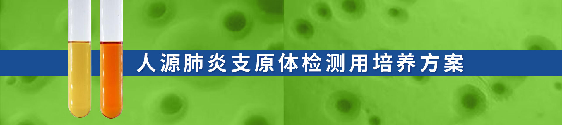 人源肺炎支原體檢測用培養方案
